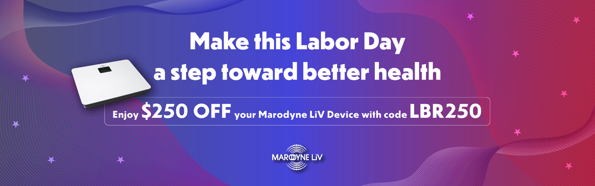 Labor Day cupon: LBR250 to $250 OFF